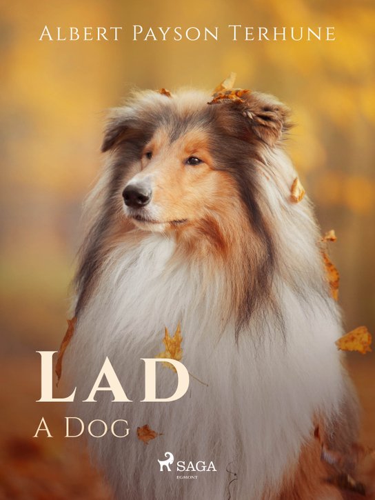 Lad: A Dog -  Albert Payson Terhune
