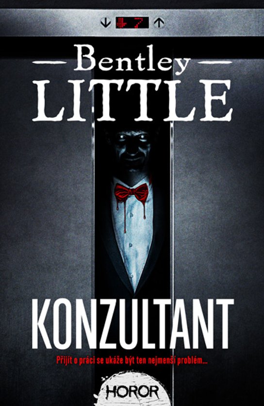 Konzultant -  Bentley Little