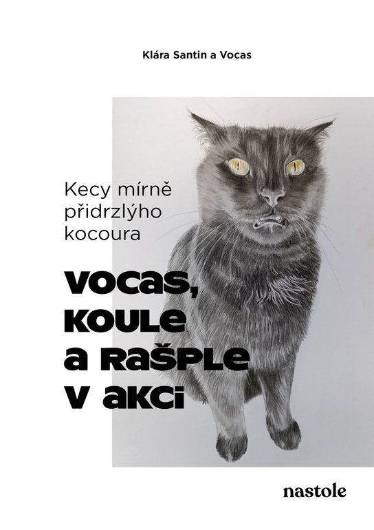 Kecy mírně přidrzlýho kocoura -  Klára Santin