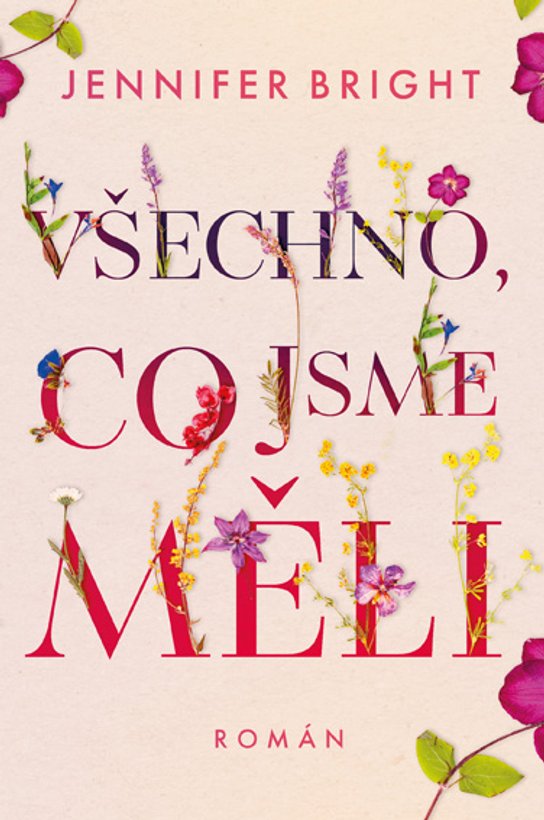 Všechno, co jsme měli -  Jennifer Bright