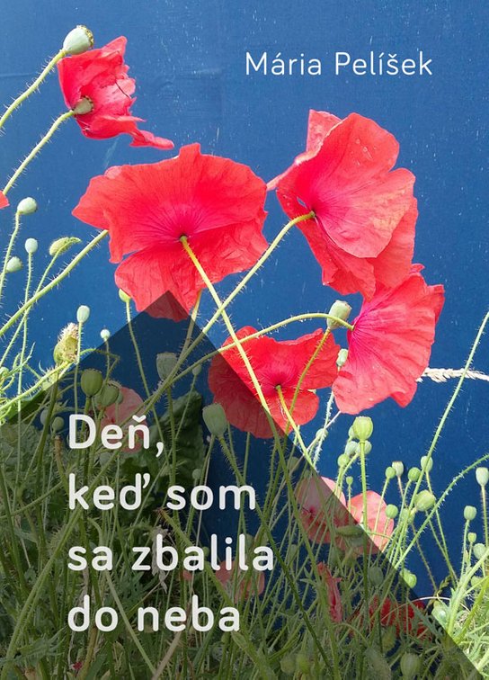 Deň, keď som sa zbalila do neba -  Mária Pelíšek
