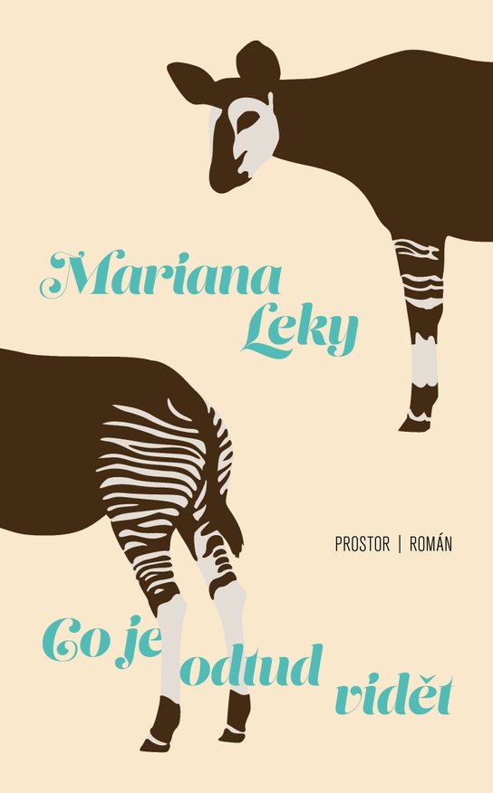 Co je odtud vidět -  Mariana Leky