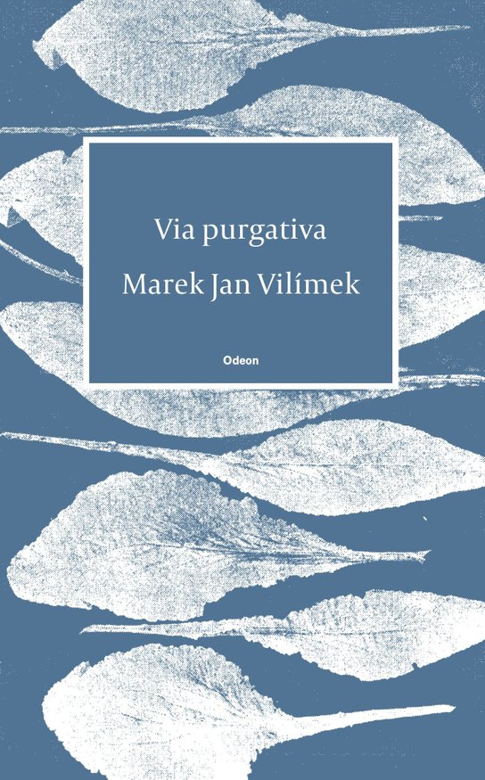 Via purgativa