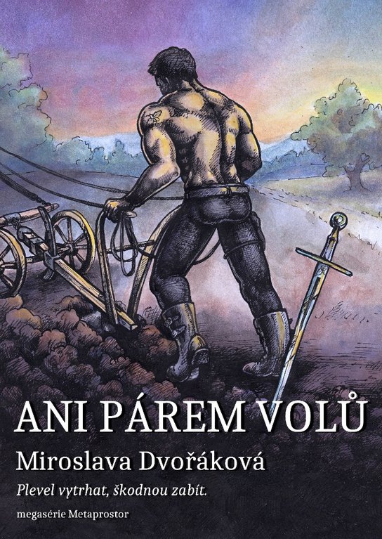 Ani párem volů… - Miroslava Dvořáková