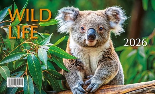 Mláďata Wild life 2026 - stolní kalendář -  Autor Neuveden