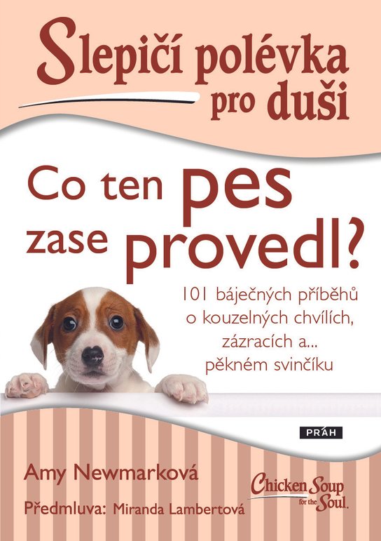 Slepičí polévka pro duši - Co ten pes zase provedl? - Amy Newmarková